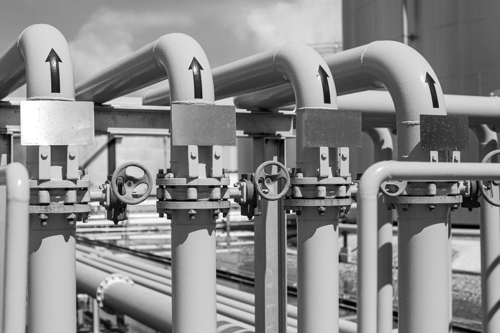 Crude oil barrels